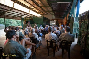 Merlin speaking to the South African Macadamia Growers Association regarding the value of bats as biological controls for green stink bugs, their most costly pests. Lectures