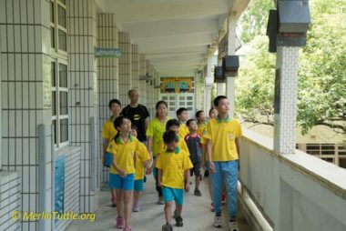 elementary school children have routinely passed within two meters of occupied bat houses